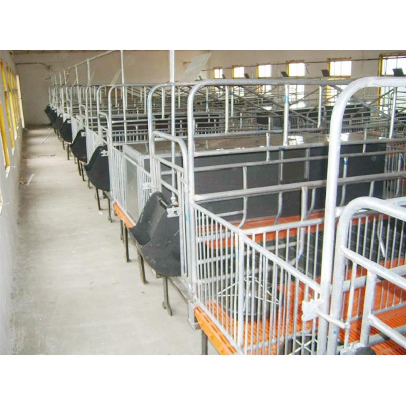 Gestation Stall-71