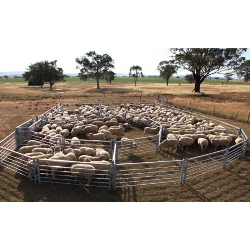 Livestock yard panels 