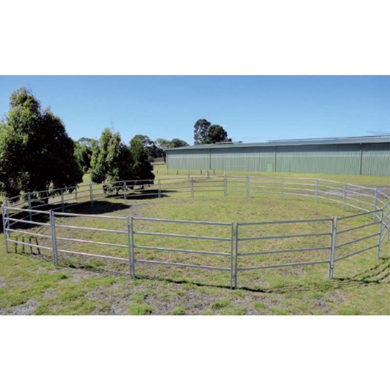 Livestock yard panels-152