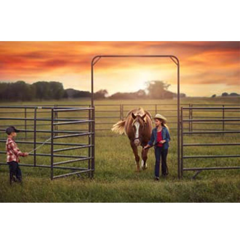 Livestock yard panels-151