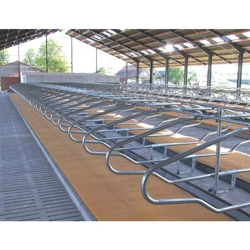 Cattle Free Stall -325